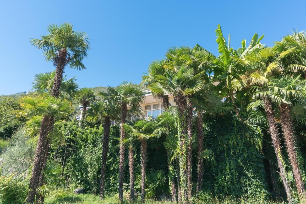 Charme Hotel Barbate Tegna エクステリア 写真